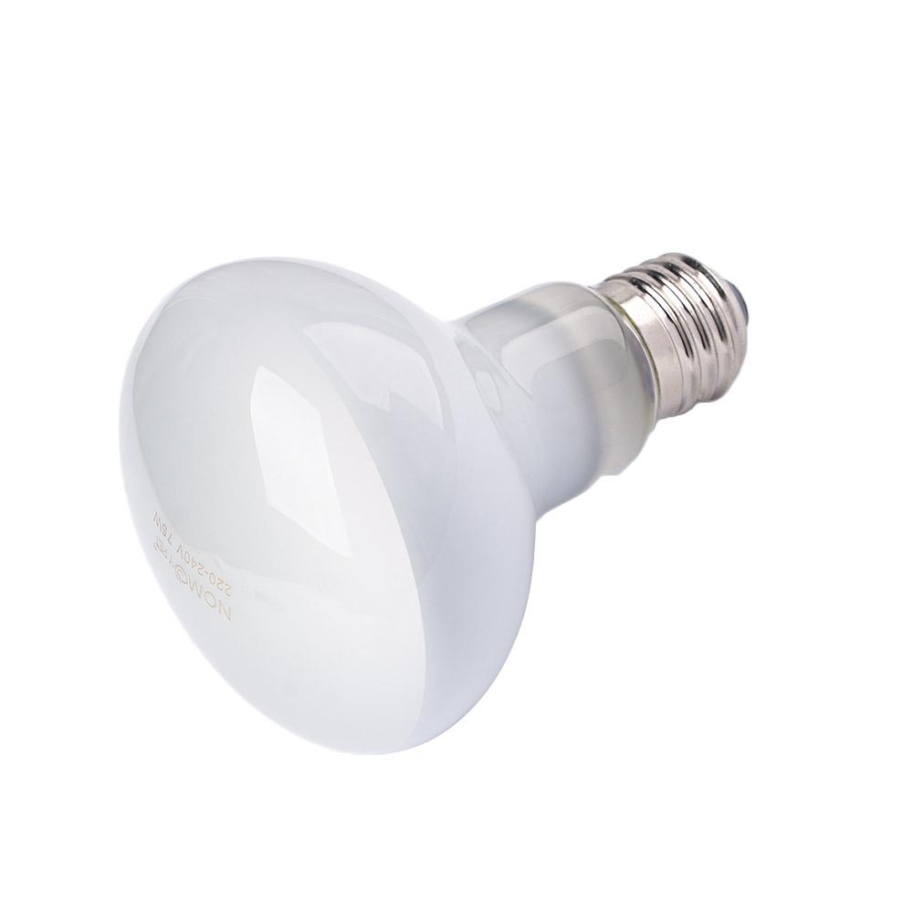 Basking Bulb Halogen - Hagedisverwarmer Temperatuurregelaar Halogeenlamp UVA-licht Zonnebadlamp Reptiel