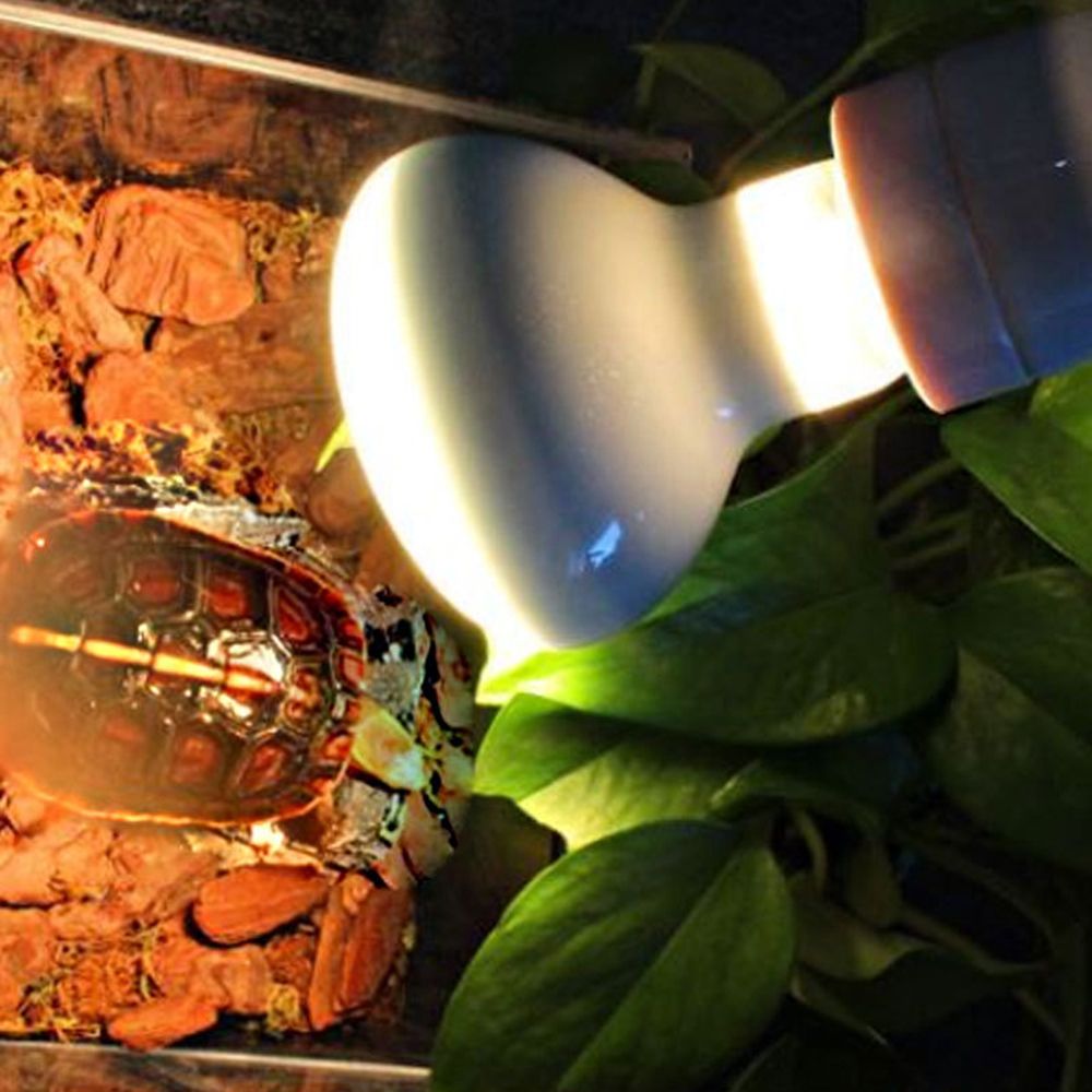 Basking Bulb Halogen - Hagedisverwarmer Temperatuurregelaar Zonnebadlamp Halogeenlamp UVA-lamp Reptiel