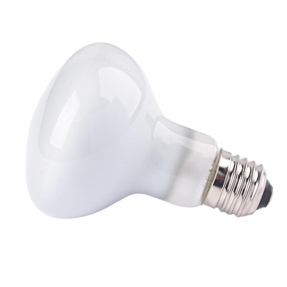 Amfibieën Verwarmingslamp UVA- - Basking Bulb Halogen recensie en prijs