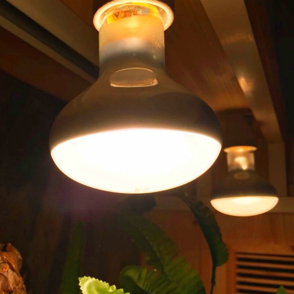 Schildpad Temperatuurregelaar  - Basking Bulb Halogen recensie en prijs