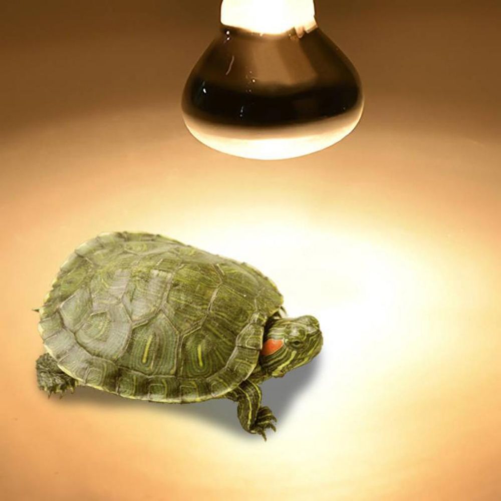 Schildpad Temperatuurregelaar  - Basking Bulb Halogen recensie en prijs