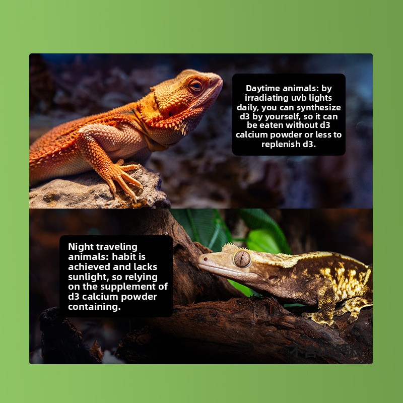 Reptizoo Reptiel Calciumpoeder - Calcium Powder Reptile recensie en prijs