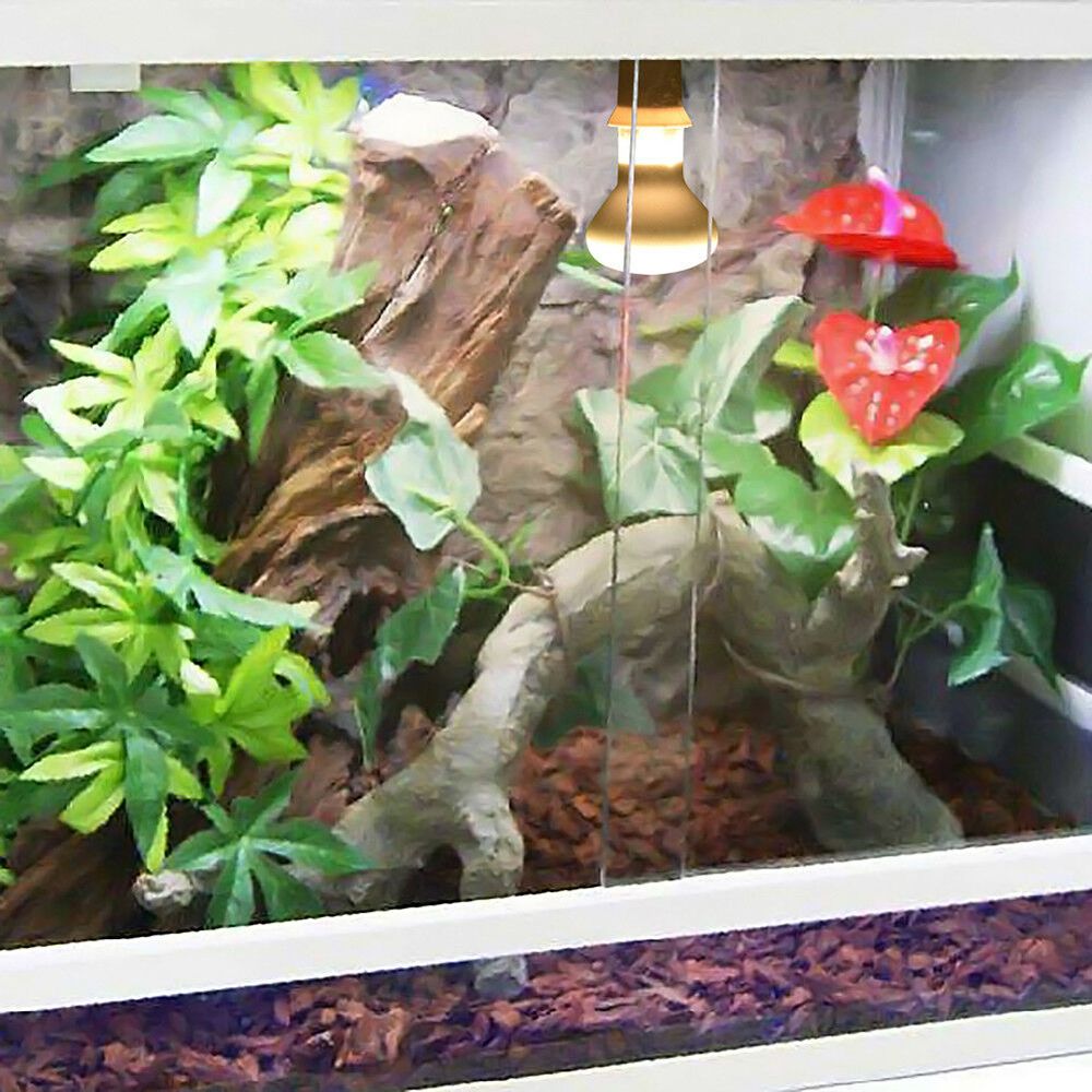 Schildpad Temperatuurregelaar  - Basking Bulb Halogen recensie en prijs