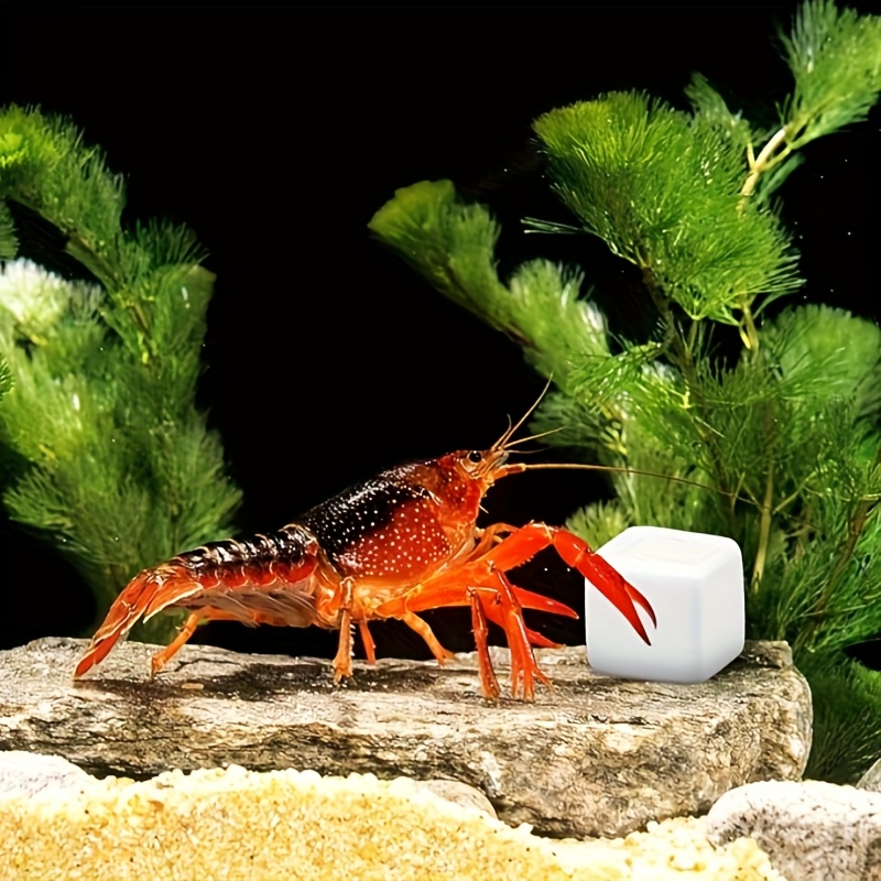 6 Stuks Aquarium Calcium Blok  - Calcium Powder Reptile recensie en prijs