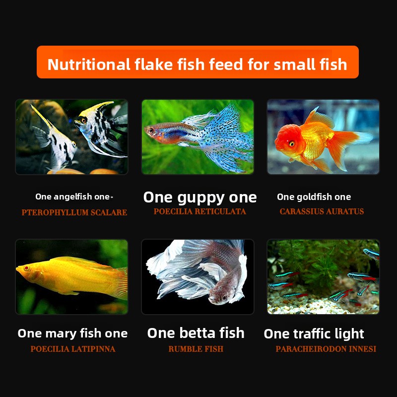 DaJiaWa Spirulina Vlokvisvoer  - Tetra Food Goldfish Flakes recensie en prijs